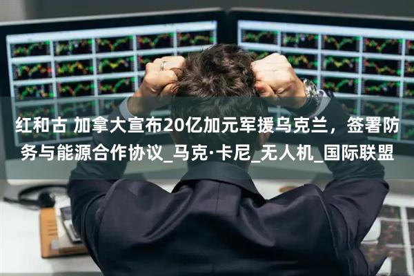 红和古 加拿大宣布20亿加元军援乌克兰，签署防务与能源合作协议_马克·卡尼_无人机_国际联盟